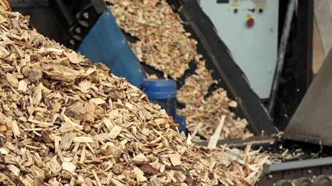Close-up of a machine for chopping wood into chips. Wood processing machine. Stock Footage 245385252