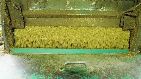 Close up of a machine flaking kernel palm oil into flakes at factory, 스톡 동영상 252346726