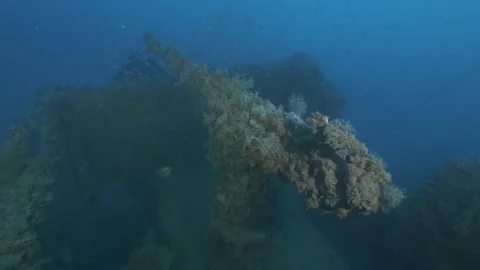 Close-up of machine gun encrusted on the tip of wreck Adernò diver approaching Stock Footage 227376393