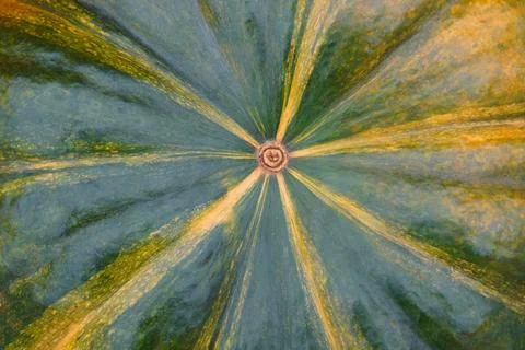 Close up, macro of abstract green pumpkin skin texture with natural radial .. Stockfoto's