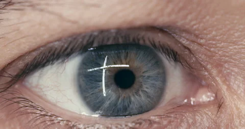 Close Up Macro Blue Eye Watching Different Sides Stock Footage 143652476