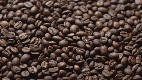 Close up macro coffee beans detailed roasted grains texture bokeh Stock Footage 239098255