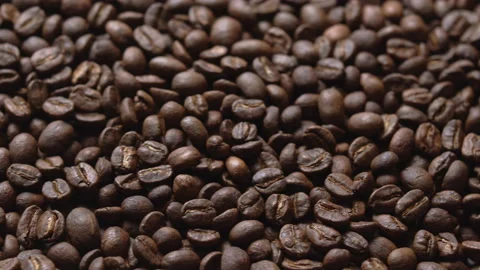 Close up macro coffee beans detailed roasted grains texture bokeh Stock Footage 239099534