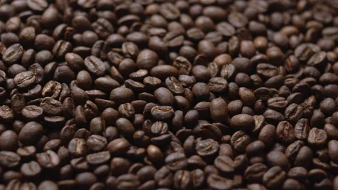 Close up macro coffee beans detailed roasted grains texture bokeh Stock Footage 239102234