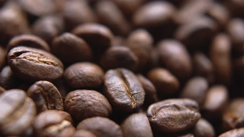 Close up macro coffee beans detailed roasted grains texture bokeh Stock Footage 239111536