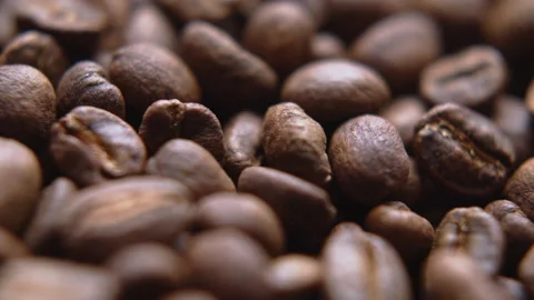 Close up macro coffee beans detailed roasted grains texture bokeh Stock Footage 239111537
