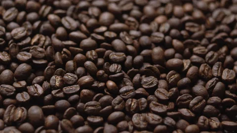 Close up macro coffee beans detailed roasted grains texture bokeh Stock Footage 239118114