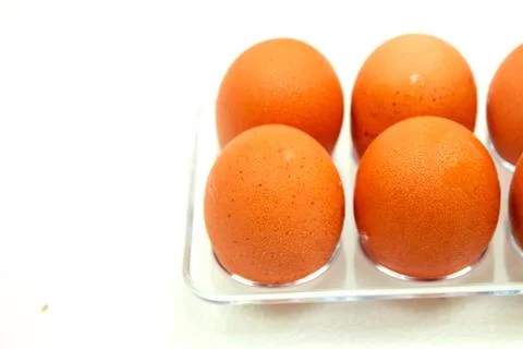 Close up macro at Cold brown Eggs with droplet on white background. Stock Photos