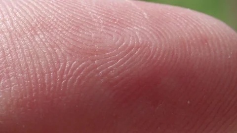 CLOSE UP MACRO: Detail of Caucasian index finger skin pattern Stock Footage