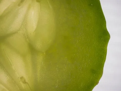 Close up macro detail of a translucent green cucumber slice texture and peel Stock-Fotos