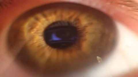 Close macro eye blinking Stock Footage 22141319