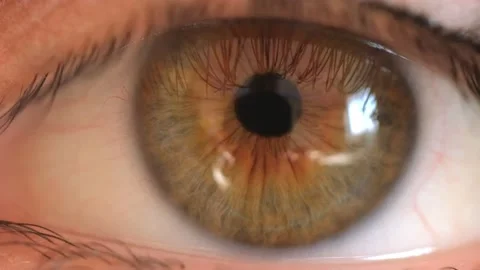 Close up macro eye human iris beautiful eye healthy eyesight awareness concept Video stock 234424524