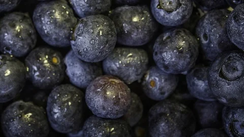 Close up macro of fresh washed organic blueberries with a diagonal pan Vídeo Stock 106358909