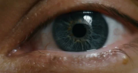 Close-Up Macro Gray-Blue Eyes Natural Beauty The Iris Of The Eye Narrows Stock Footage 127741458
