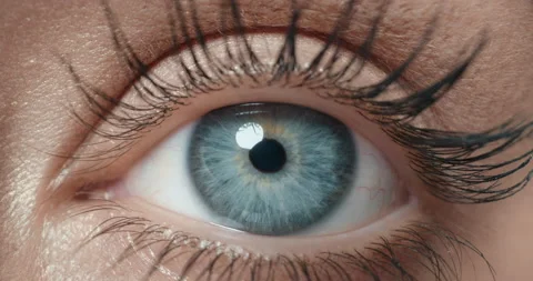 Close up macro human eye opening iris beautiful blue eye healthy eyesight Vidéo 138393444