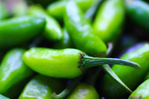 Close up macro image of green chilli with moisture on its surface Stock Photos
