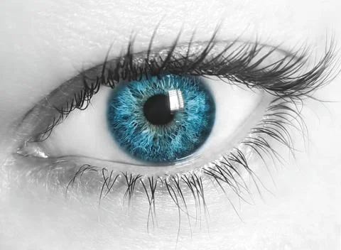 Close-up macro image of human eye with blue iris and desaturated skin 스톡 일러스트