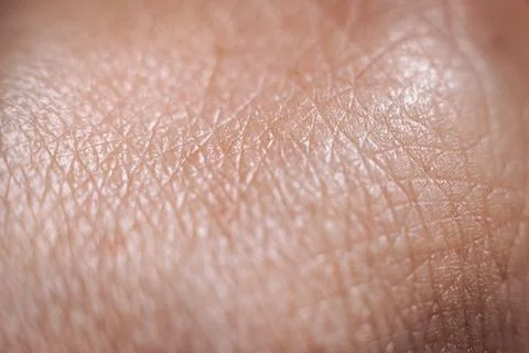 A close-up macro image of human skin, showing fine textures, intricate lines. Stock Photos