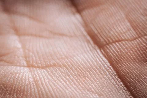 A close-up macro image of human skin, showing fine textures, intricate lines. Stock Photos