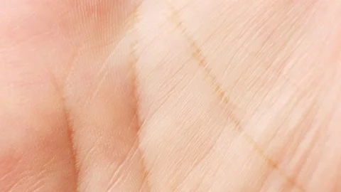 Close-up macro lines on the palm. Palmistry concept. Stock Footage 165462592