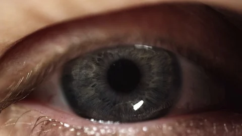Close Up macro male eye blinks and pupil dilating Stock Footage 117214657