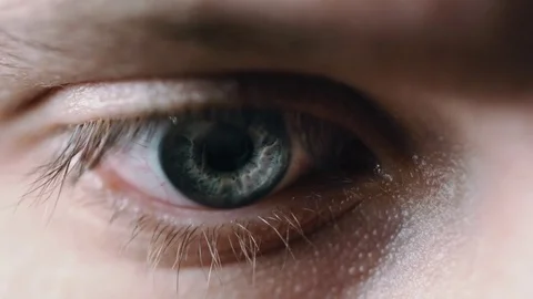 Close up macro male eye reading 2 Stock Footage 80428300