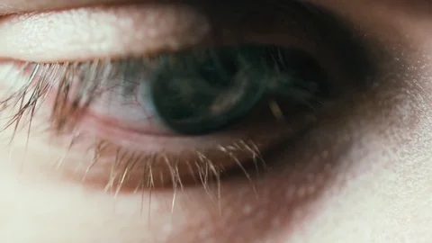 Close up macro male eye reading 스톡 동영상 80428315