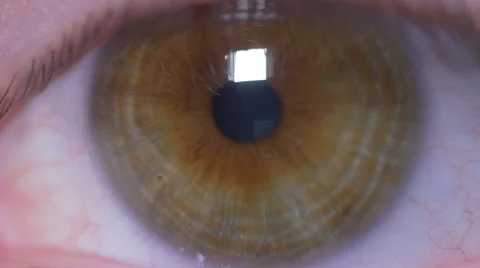 Close-up macro of man eye Stock Footage 60051283