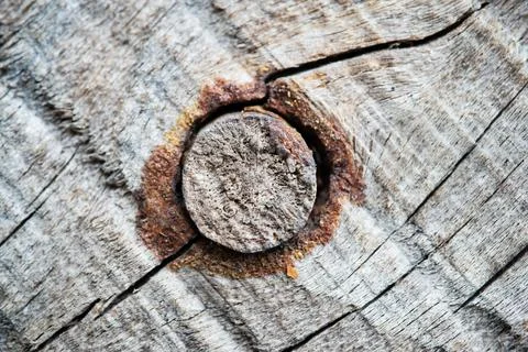 Close up macro of Old rusty nail heads on old Wood Background Stock Photos