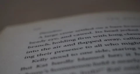 Close-up Macro of Open Book Pages Stock Footage 141554513
