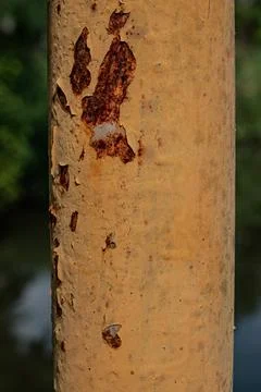 Close up macro of oxidized iron decay Stock Photos
