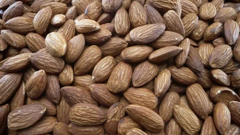 Close-up Macro Panning Shot of Almonds Stock Footage 254552332