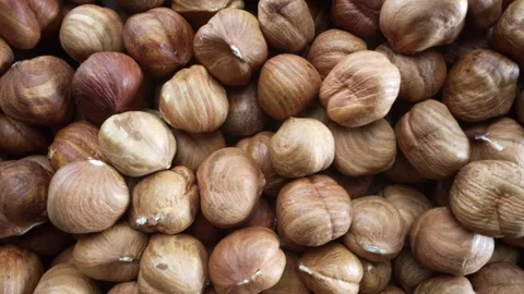 Close-up Macro Panning Shot of Huzelnuts Stock Footage 255372928