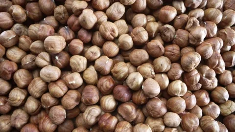 Close-up Macro Panning Shot of Huzelnuts Stock Footage 255574786