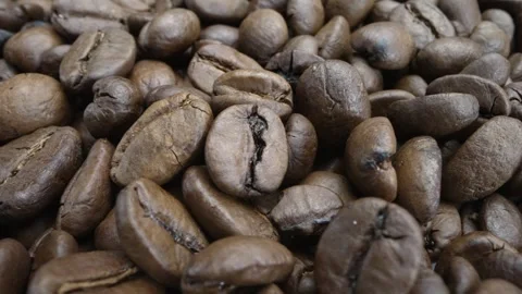 Close-up Macro Panning Shot of Roasted Coffee Beans Stock Footage 251956614