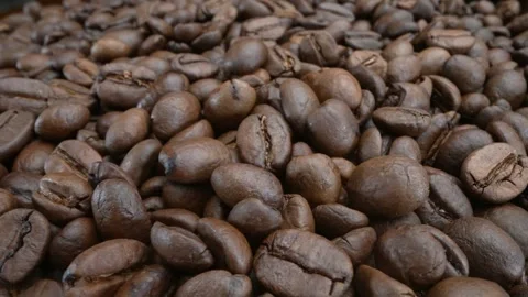 Close-up Macro Panning Shot of Roasted Coffee Beans Stock Footage 252967354
