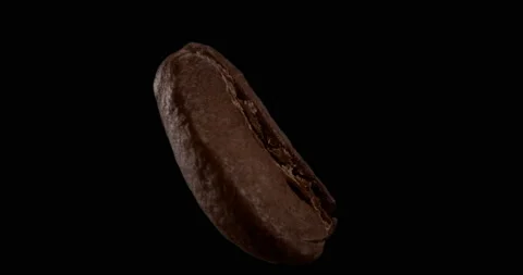 Close-up macro photography of a roasted coffee bean, spinning 180 degrees, shot Stock Footage 190073140