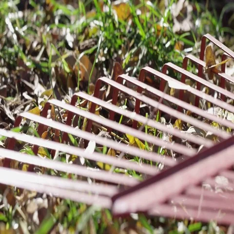 Close up macro of rake in the grass with leaves in autumn Stock Footage 69544793