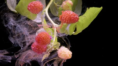 Close-up macro of raspberry cluster with swirling translucent ink-like wisps Stock Footage 339857166