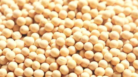 Close up macro of raw yellow soybeans as food ingredient texture background Stock-Footage 347458873