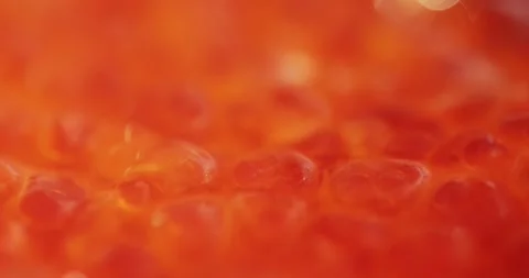 Close up macro of red caviar in can, rotation shot, canned fish red caviar. Video stock 264700981