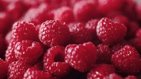 Close-Up Macro of a red raspberries fruit. Fresh, juicy raspberry, background Stock Footage 233528932