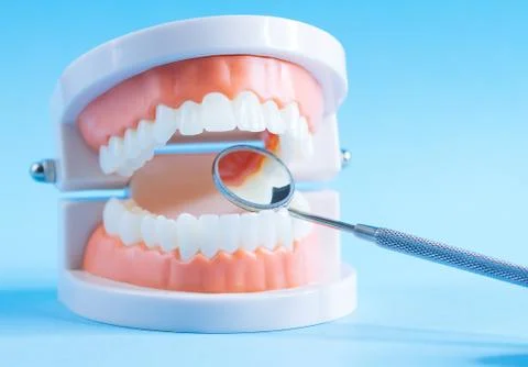 Close up macro shoot of teeth model with dental mirror  on blue background. Stock Photos