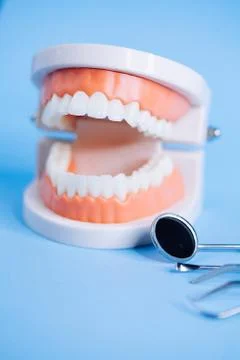 Close up macro shoot of teeth model with dental tools  on blue background. Stock Photos