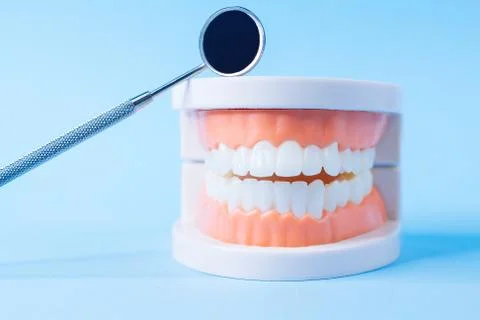 Close up macro shoot of teeth model with dental mirror  on blue background. Stock Photos