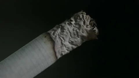 Close up macro shot of burning cigarette. Bad habit, cancer risk. Cigar or jo Stock Footage 172467136