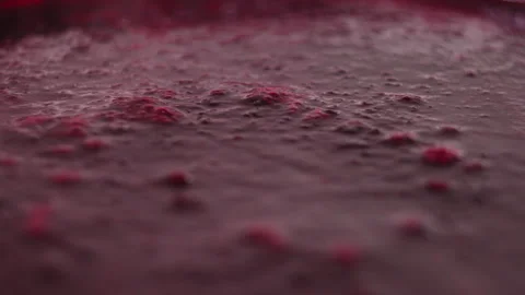 Close Up Macro Shot of Fermenting Dark Red Fruit Mash in Industrial Vat 動画素材 339651589