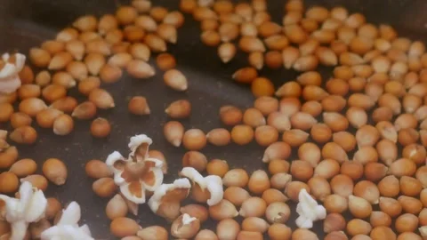 Close-up macro shot of raw popcorn kernels under a transparent lid. Stock Footage 309243178
