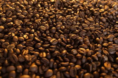 Close-up macro shot of roasted coffee beans with warm lighting and shallow .. Stock Photos