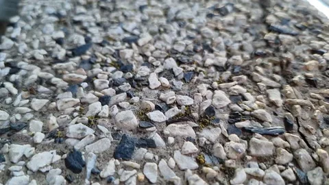 Close-up macro shot of seamless terrazzo pattern of marble mosaic natural Stock Footage 186959026